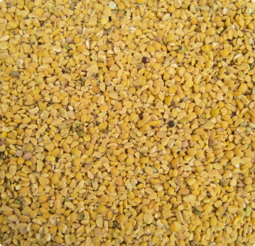 moon dal